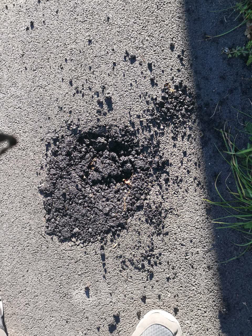 The photograph attached to this roading/streets report