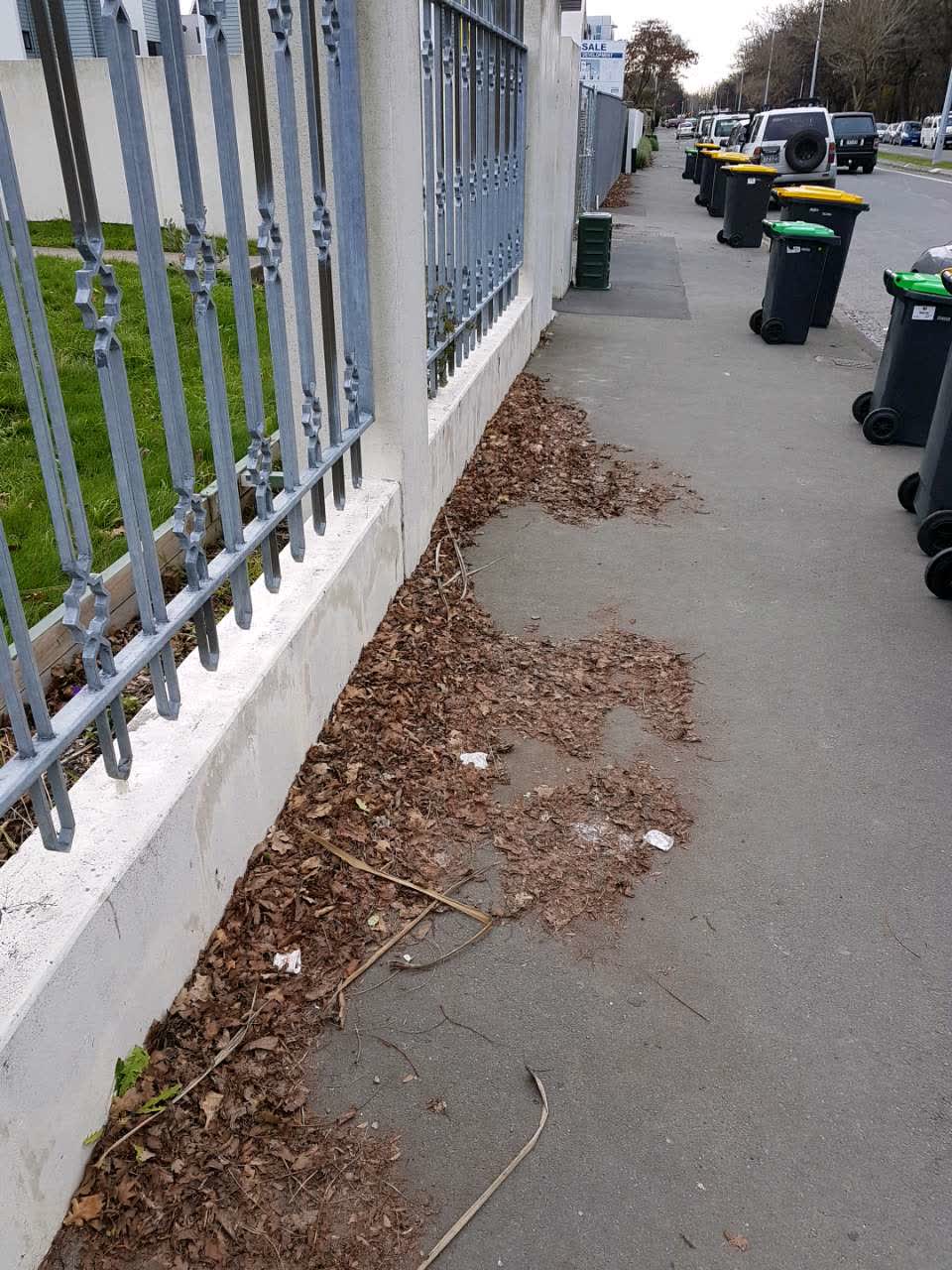 The photograph attached to this roading/streets report