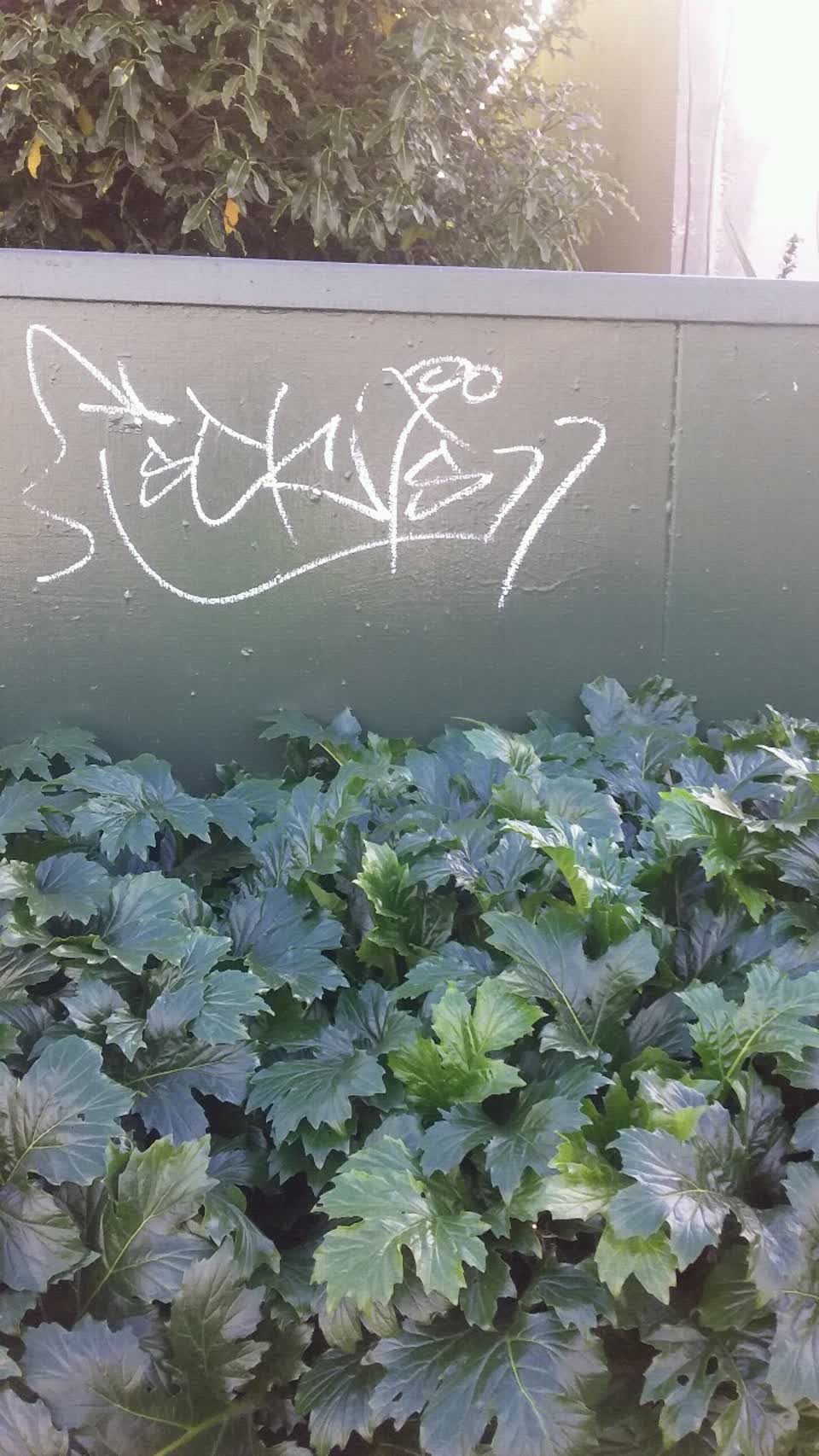 The photograph attached to this graffiti report