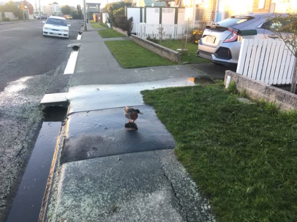 The photograph attached to this flooding report