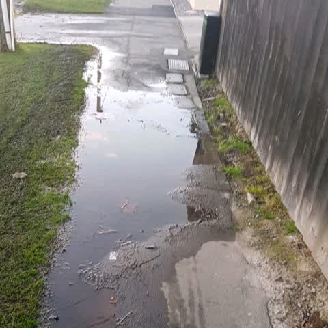 Water Supply, a report photo