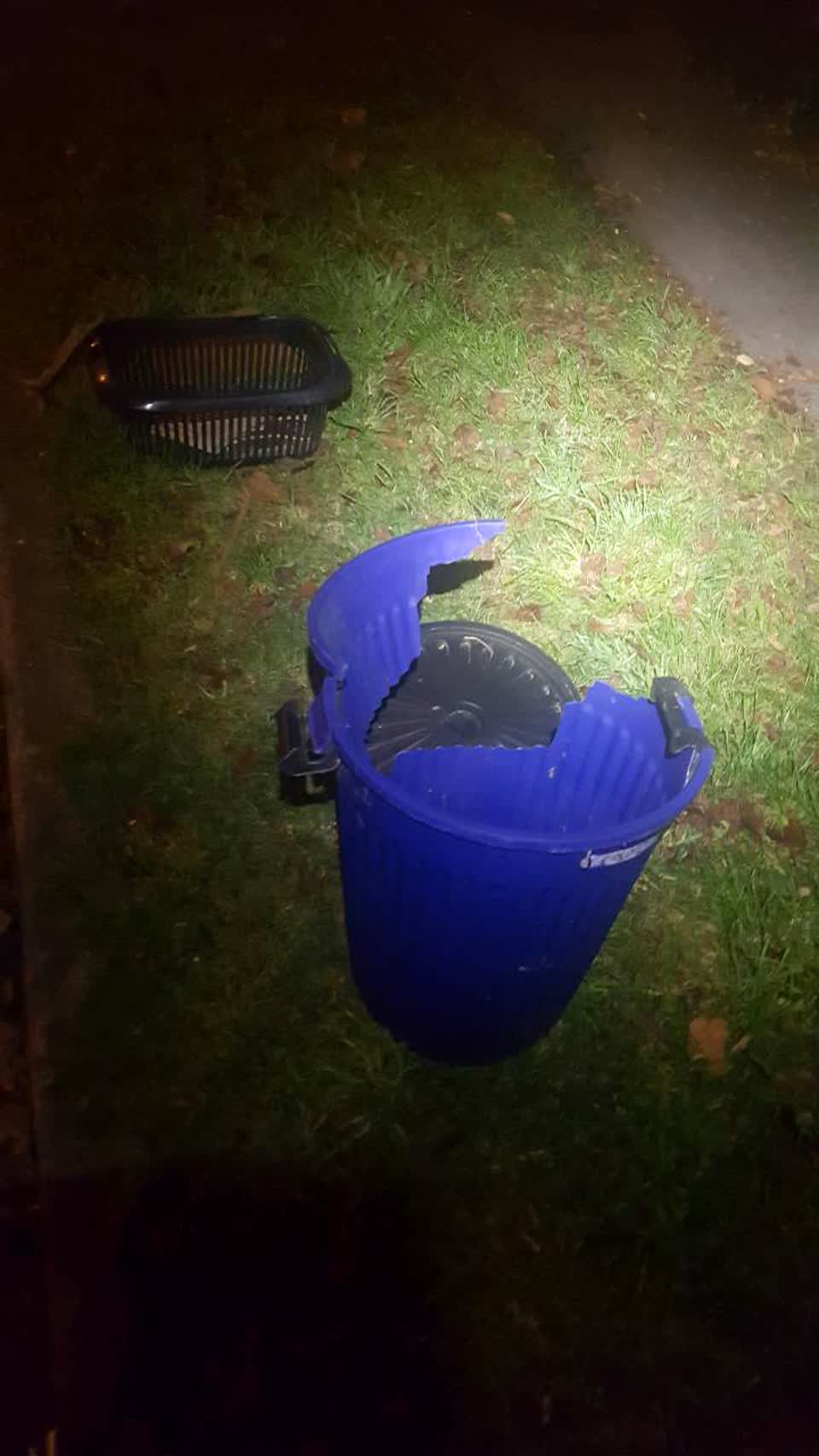 The photograph attached to this rubbish/recycling report
