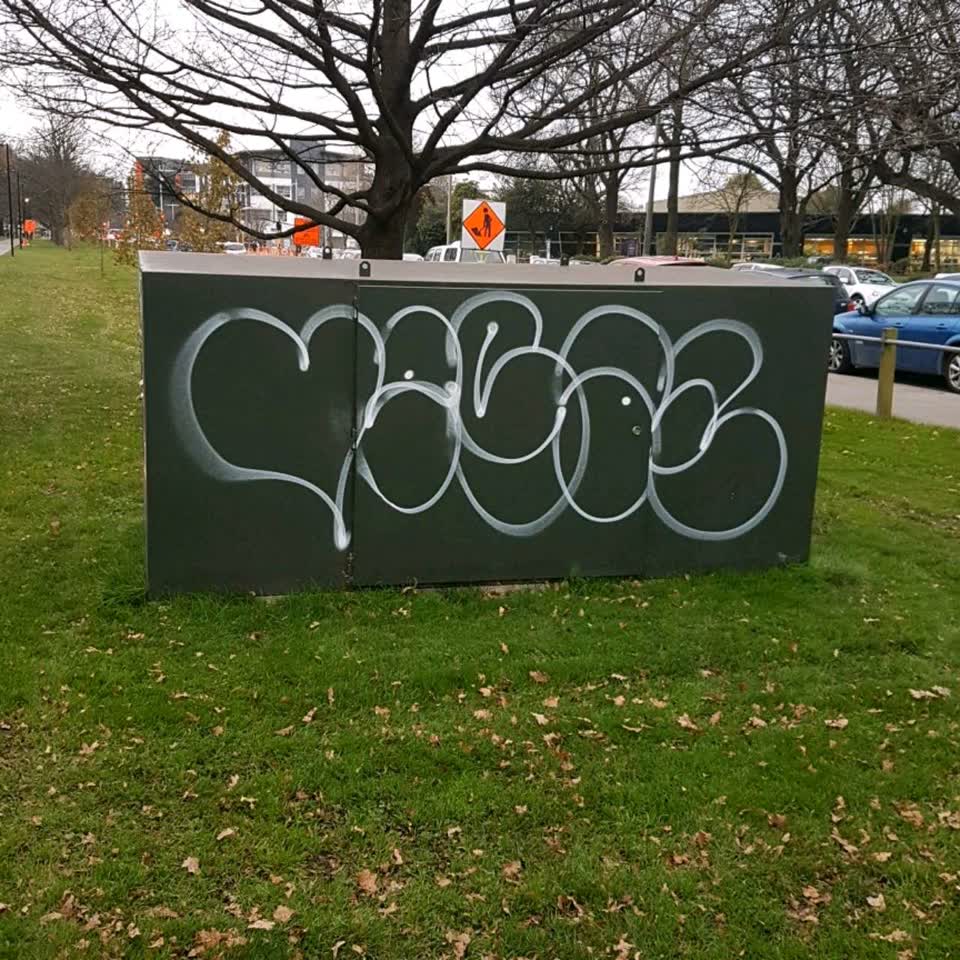 The photograph attached to this graffiti report