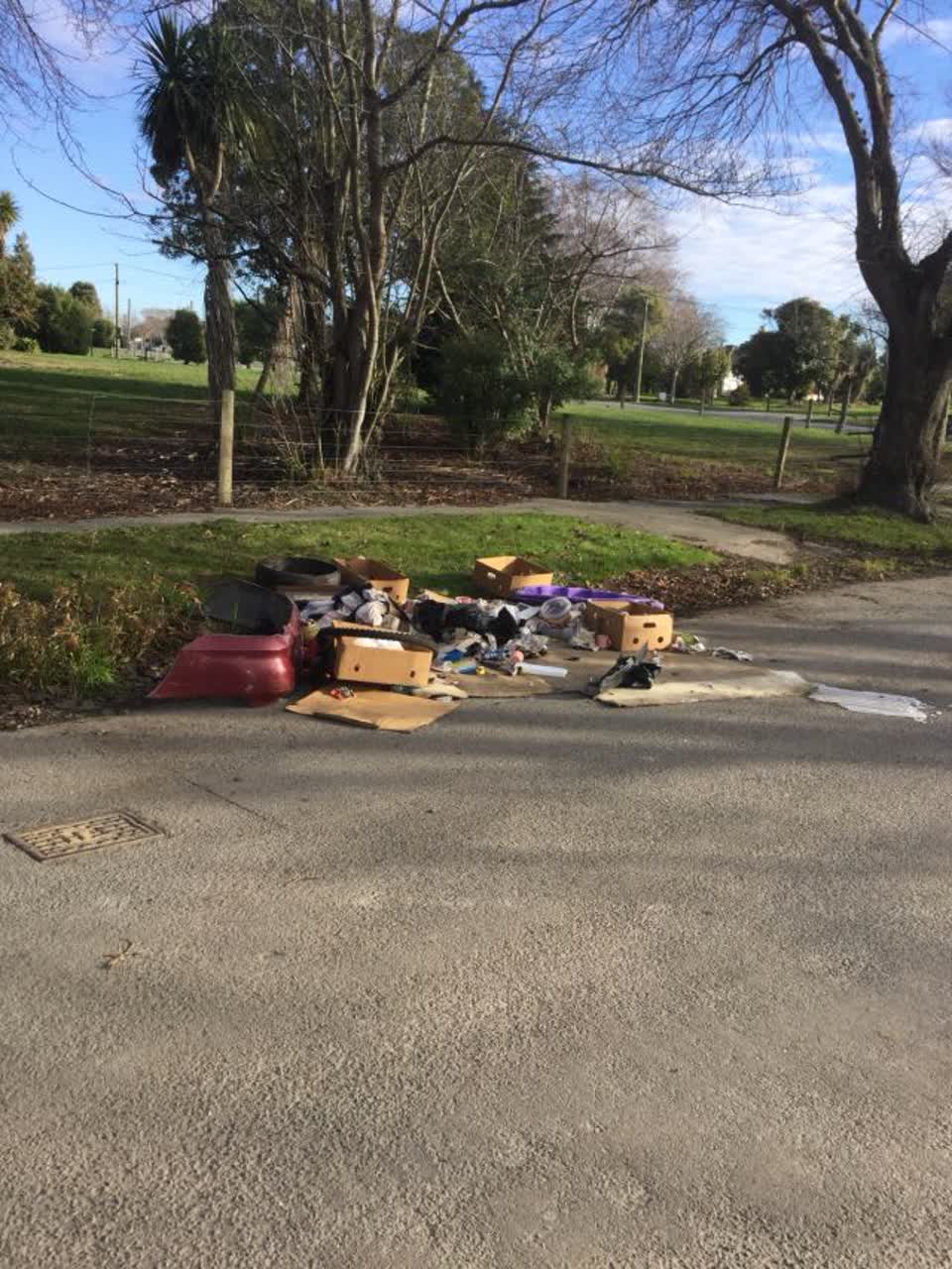 The photograph attached to this rubbish/recycling report