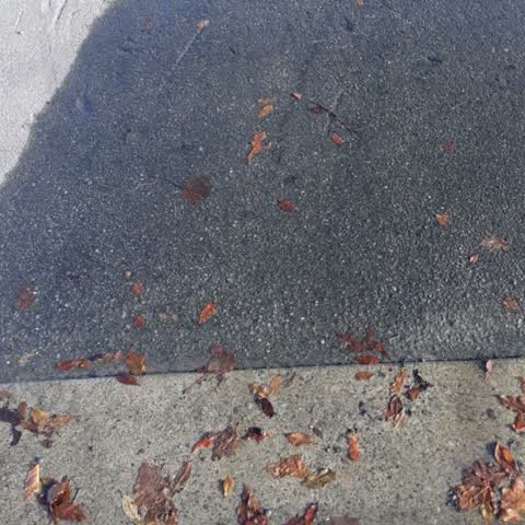 Roading/Streets, a report photo