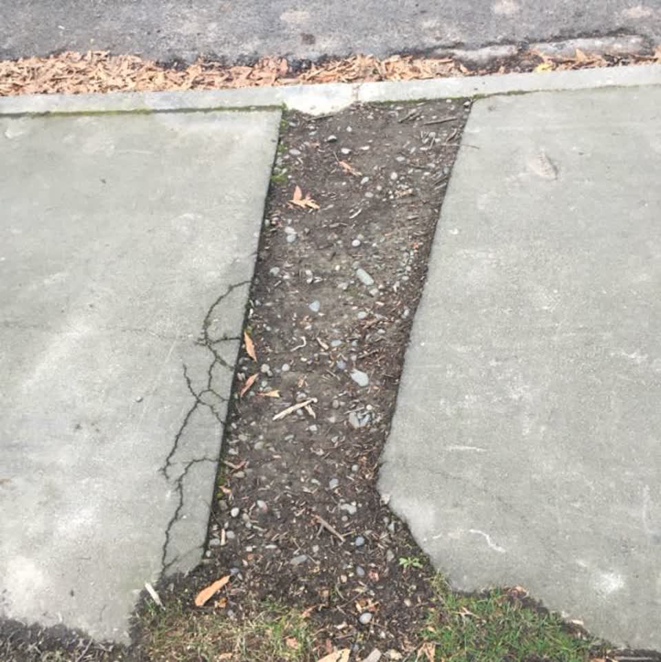 The photograph attached to this roading/streets report