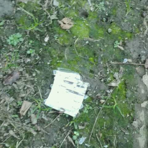 Roading/Streets, a report photo