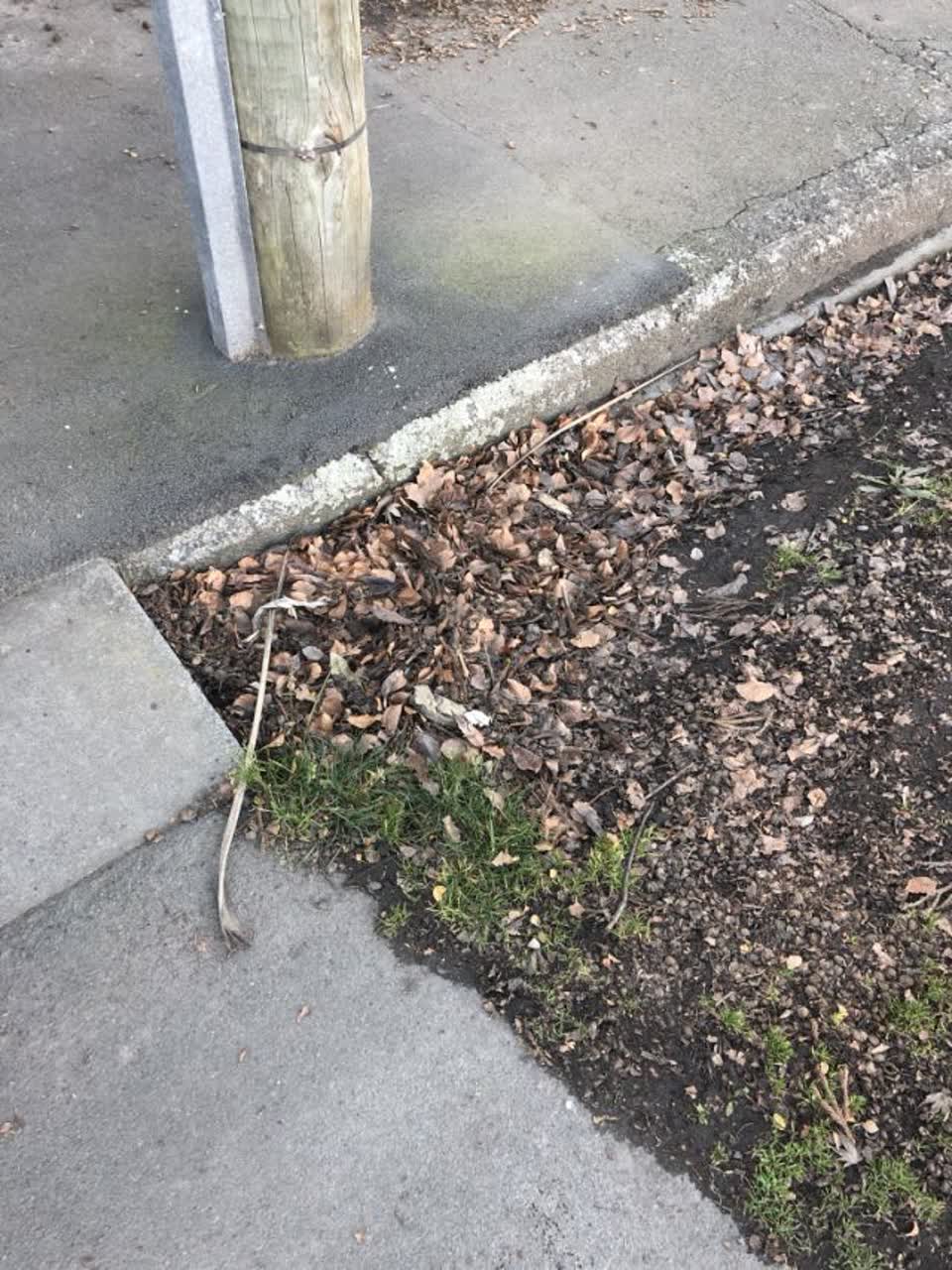 The photograph attached to this flooding report