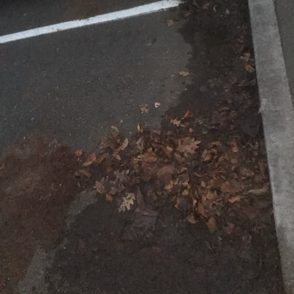 The photograph attached to this wastewater/stormwater report
