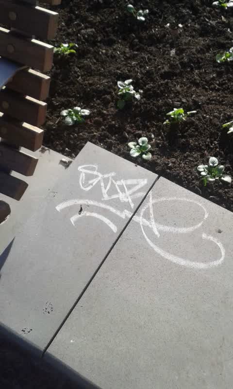 Graffiti, a report photo