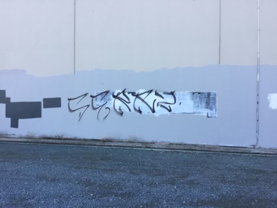 The photograph attached to this graffiti report