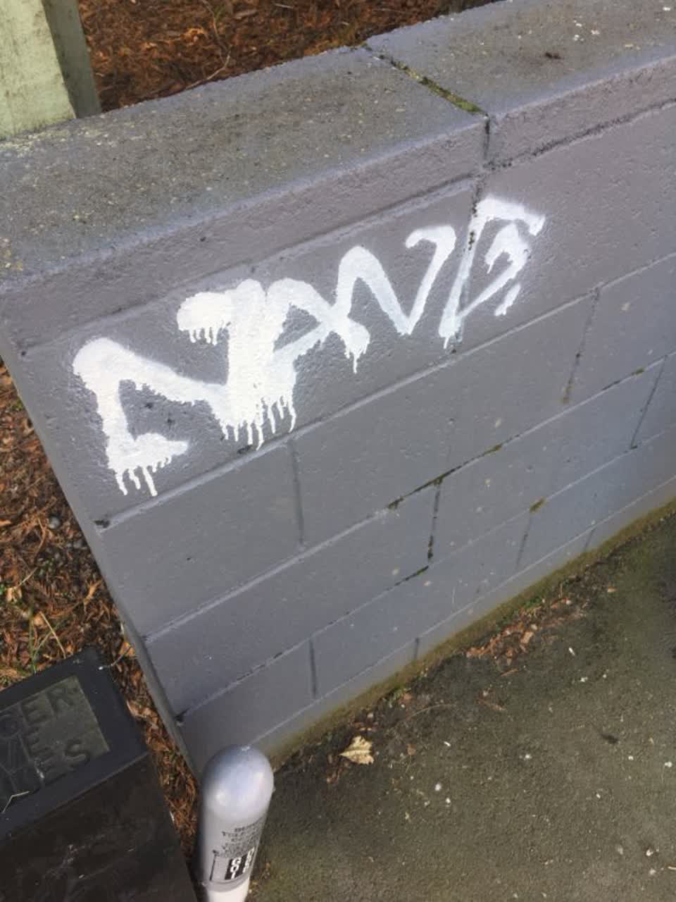 The photograph attached to this graffiti report