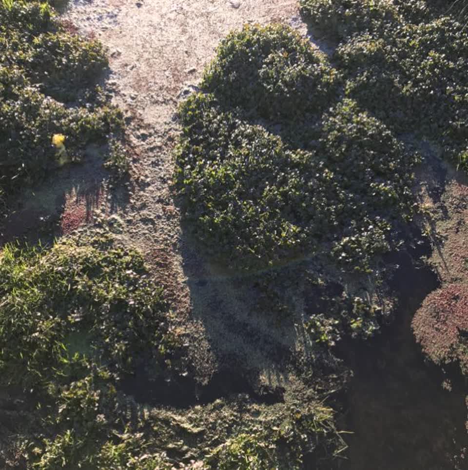 The photograph attached to this wastewater/stormwater report