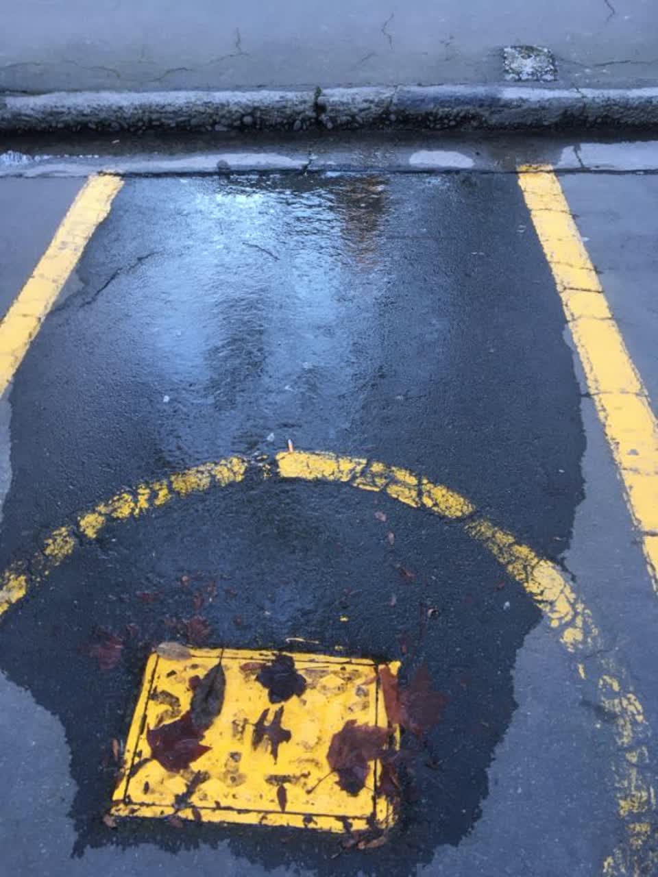 The photograph attached to this water supply report