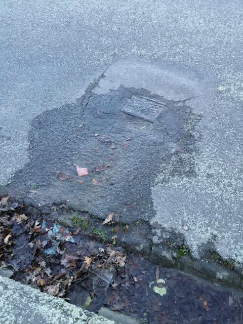Water Supply, a report photo