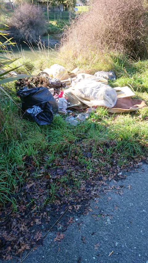 Rubbish/Recycling — a report photo