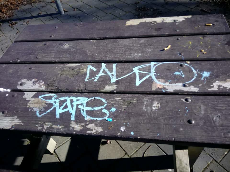 The photograph attached to this graffiti report