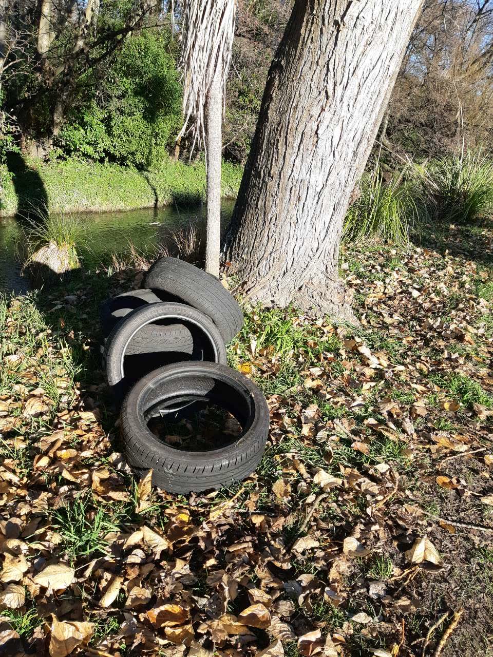 The photograph attached to this rubbish/recycling report