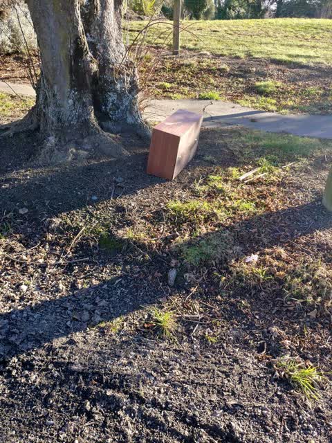 Rubbish/Recycling, a report photo