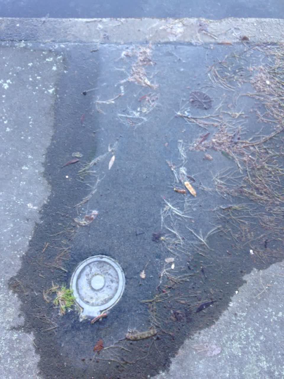 The photograph attached to this wastewater/stormwater report