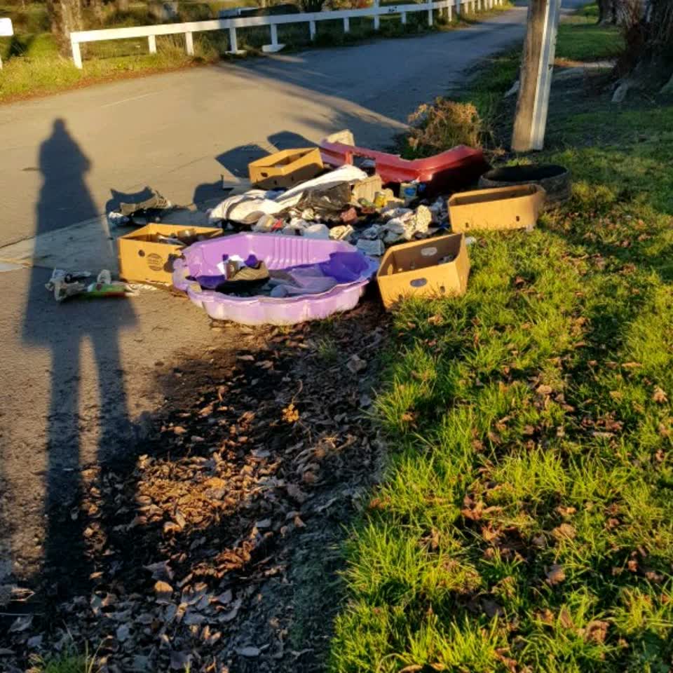 The photograph attached to this rubbish/recycling report