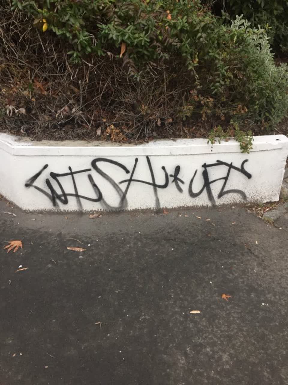 The photograph attached to this graffiti report