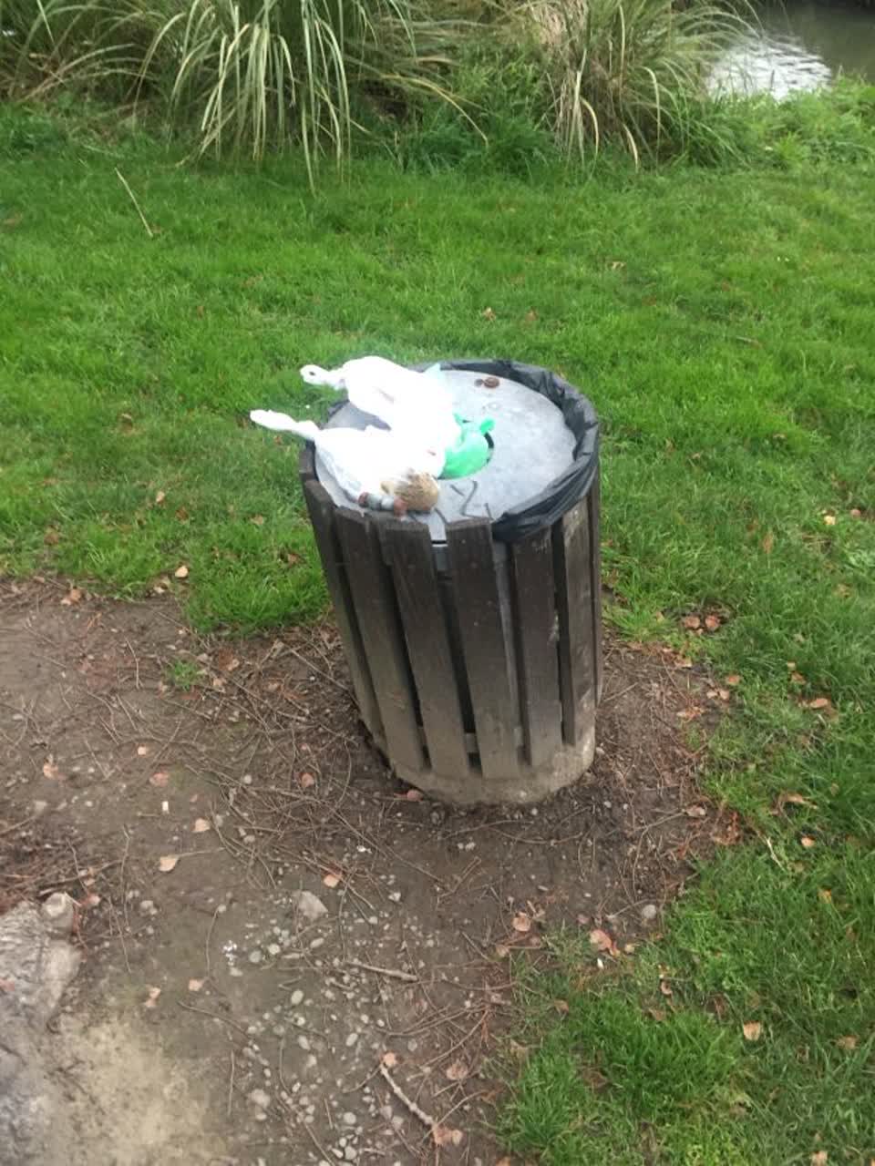 The photograph attached to this rubbish/recycling report