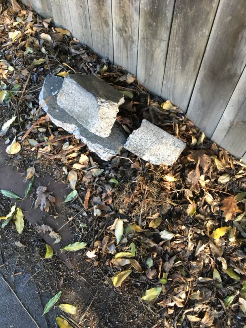 The photograph attached to this rubbish/recycling report