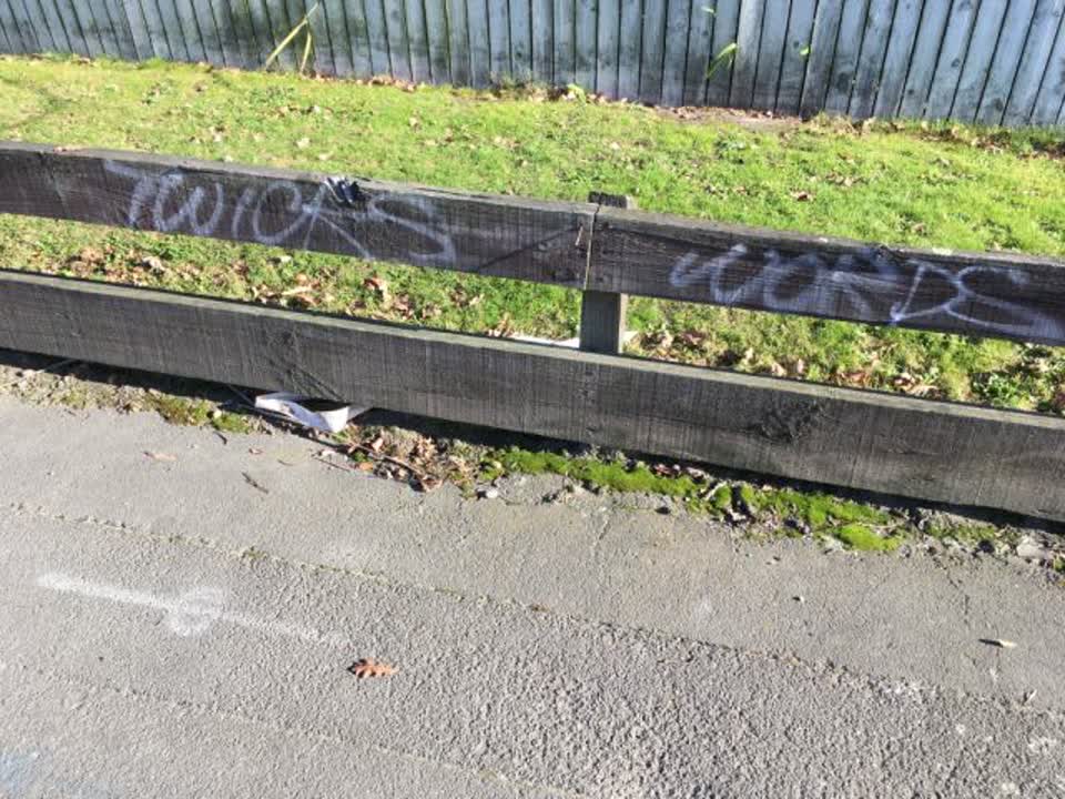 The photograph attached to this graffiti report