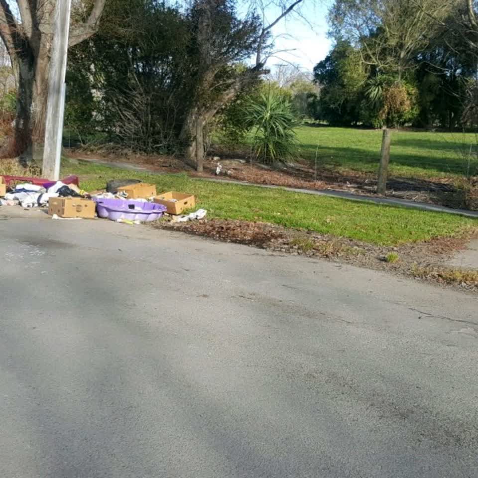 The photograph attached to this rubbish/recycling report