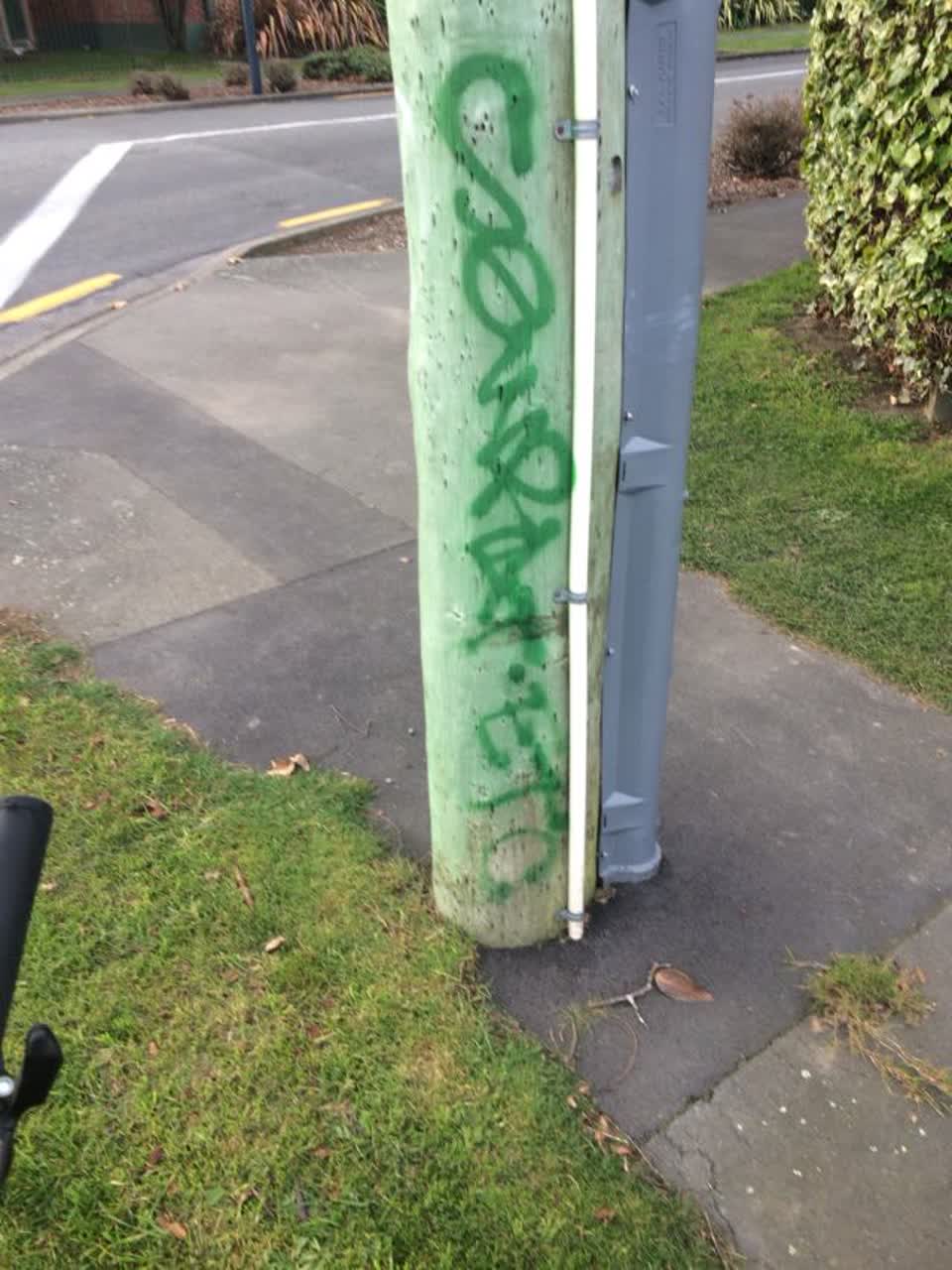 The photograph attached to this graffiti report