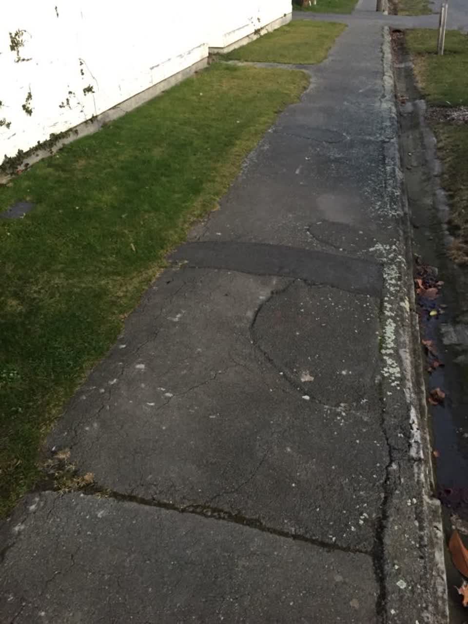 The photograph attached to this roading/streets report
