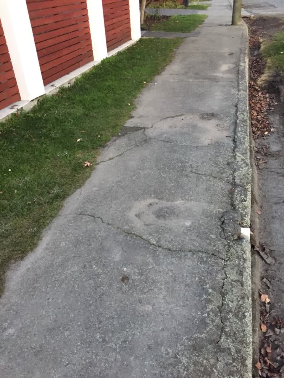 The photograph attached to this roading/streets report