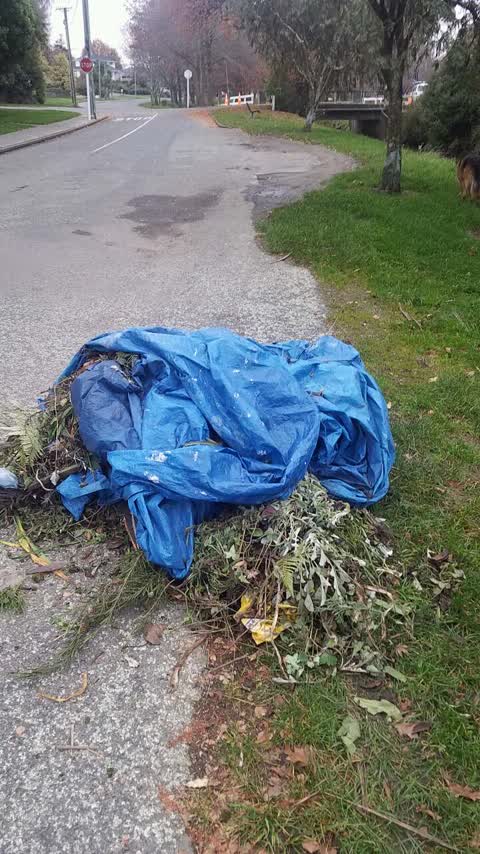 Rubbish/Recycling — a report photo