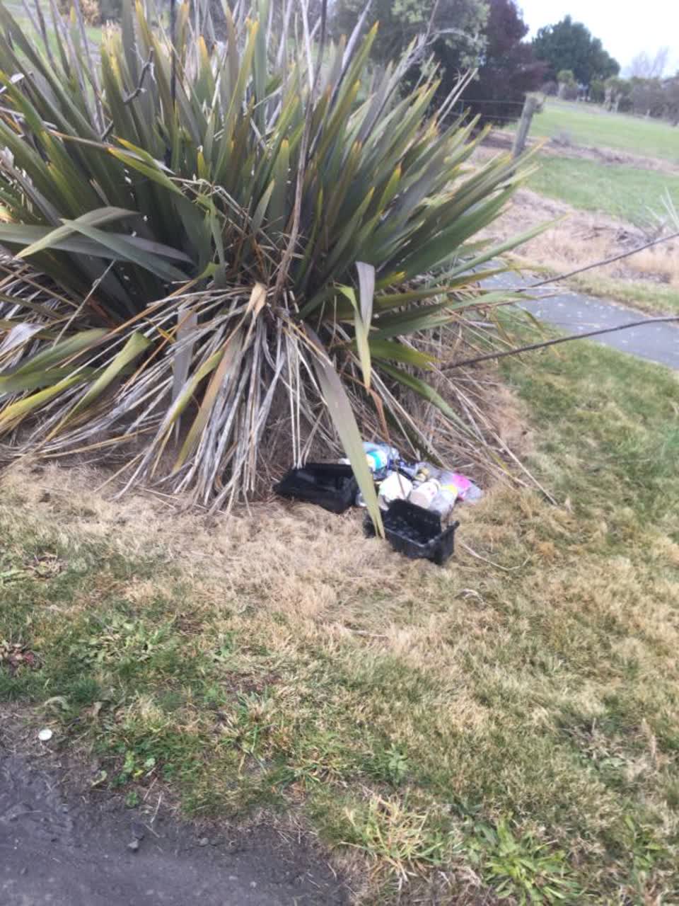 The photograph attached to this rubbish/recycling report