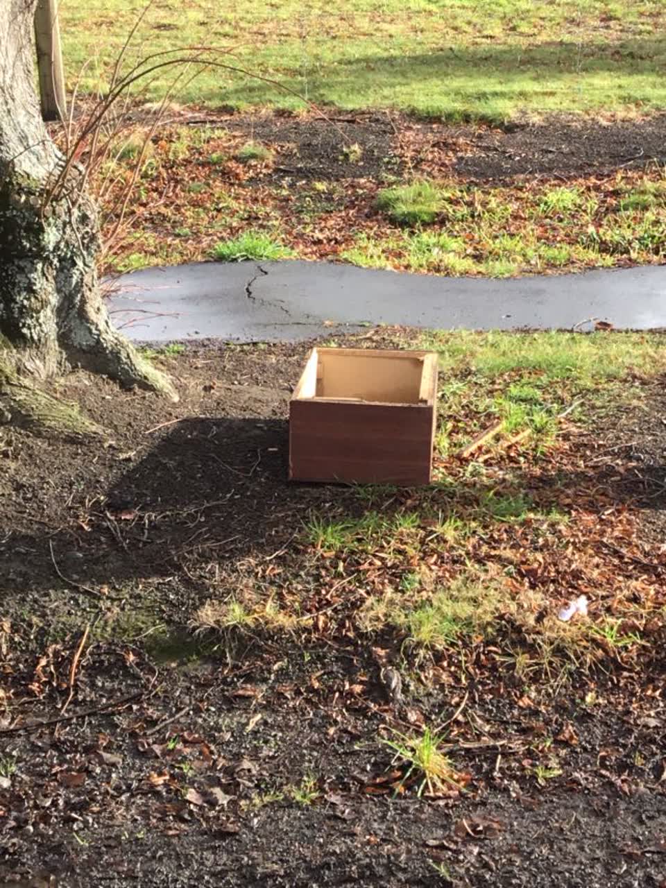 The photograph attached to this rubbish/recycling report