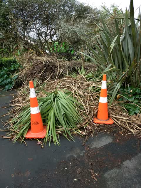 Rubbish/Recycling, a report photo