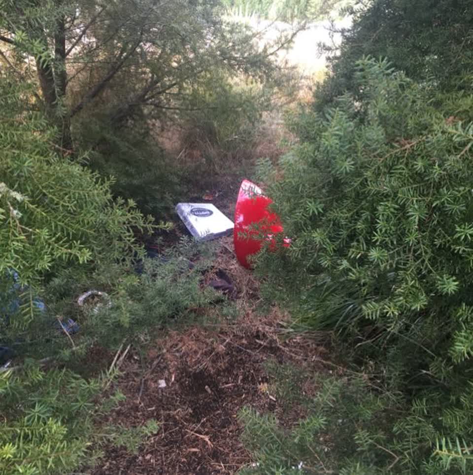 The photograph attached to this parks report