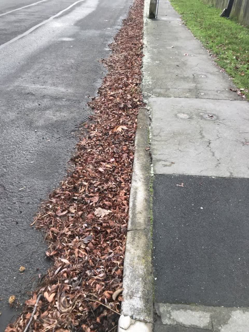 The photograph attached to this roading/streets report