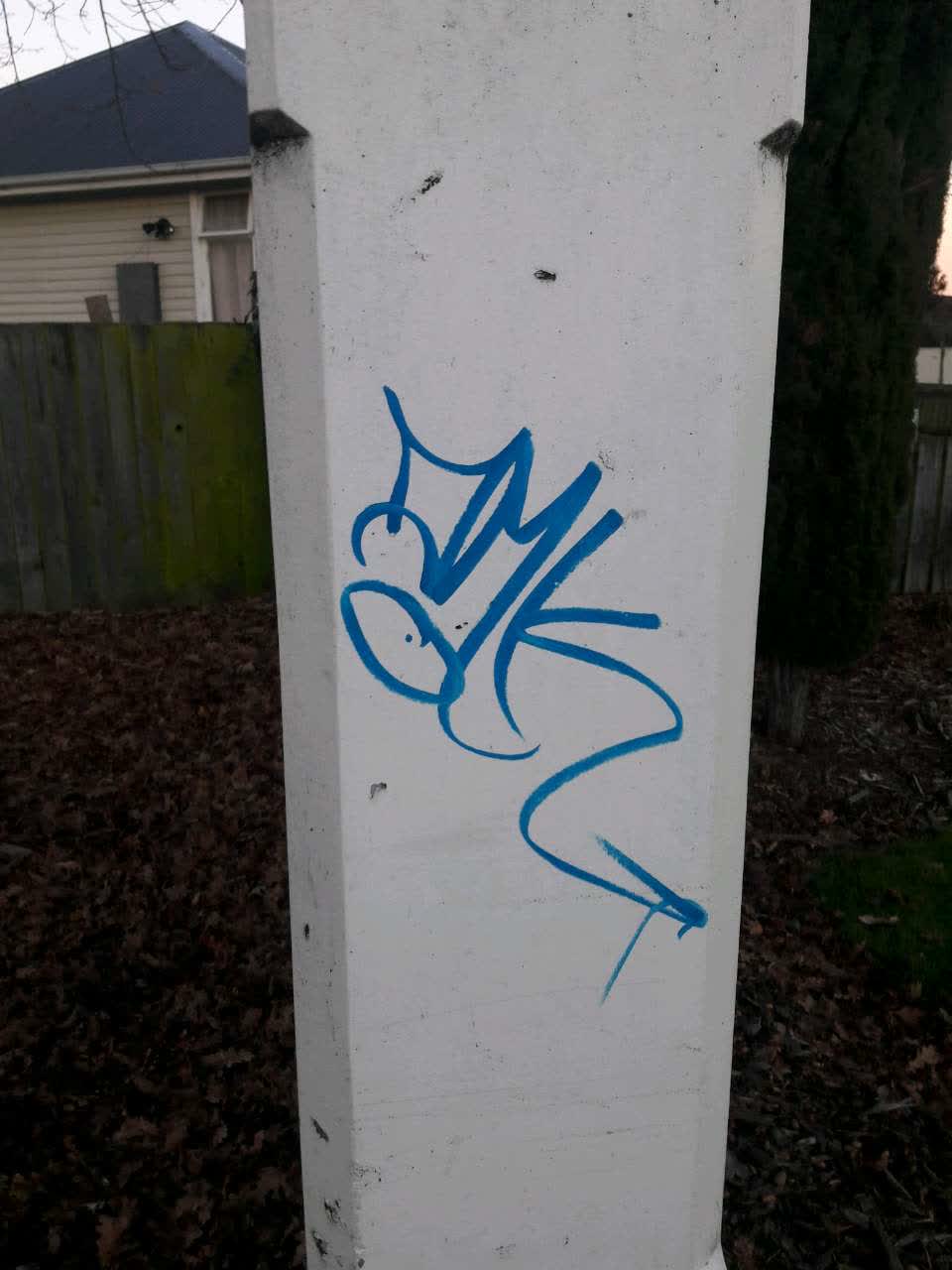 The photograph attached to this graffiti report