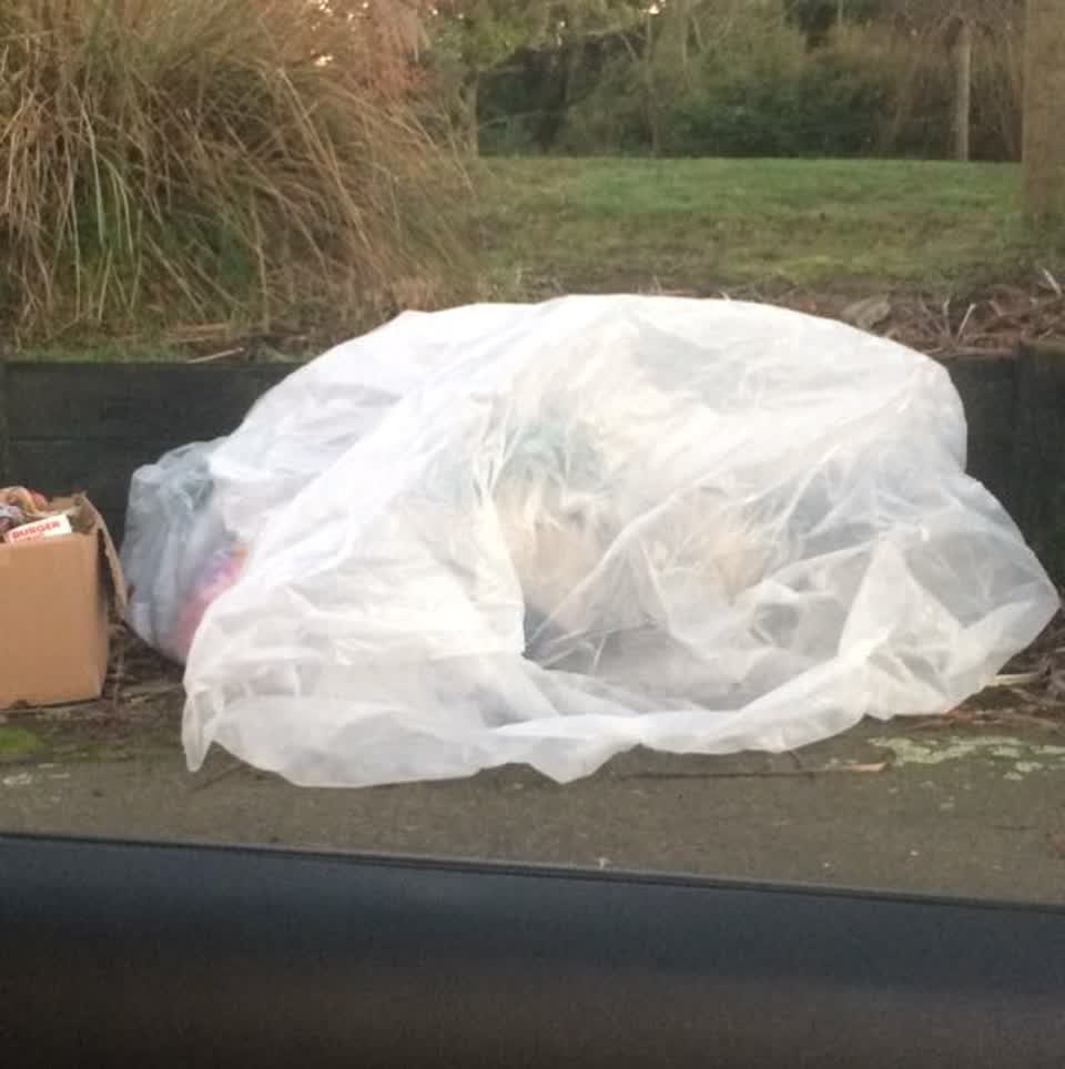 The photograph attached to this rubbish/recycling report
