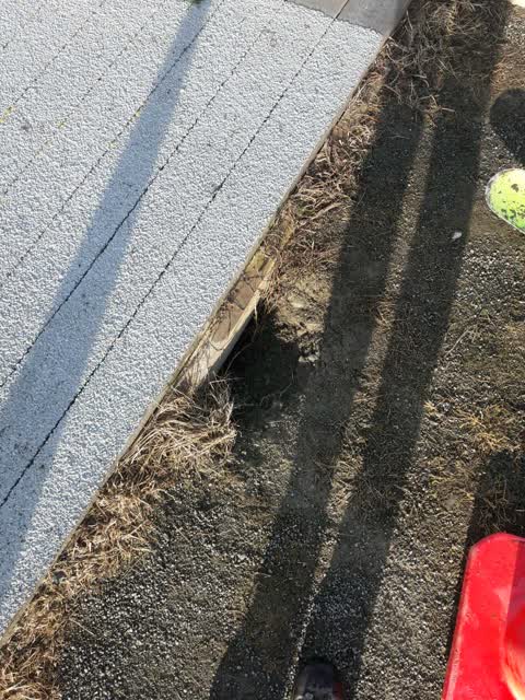 Parks, a report photo