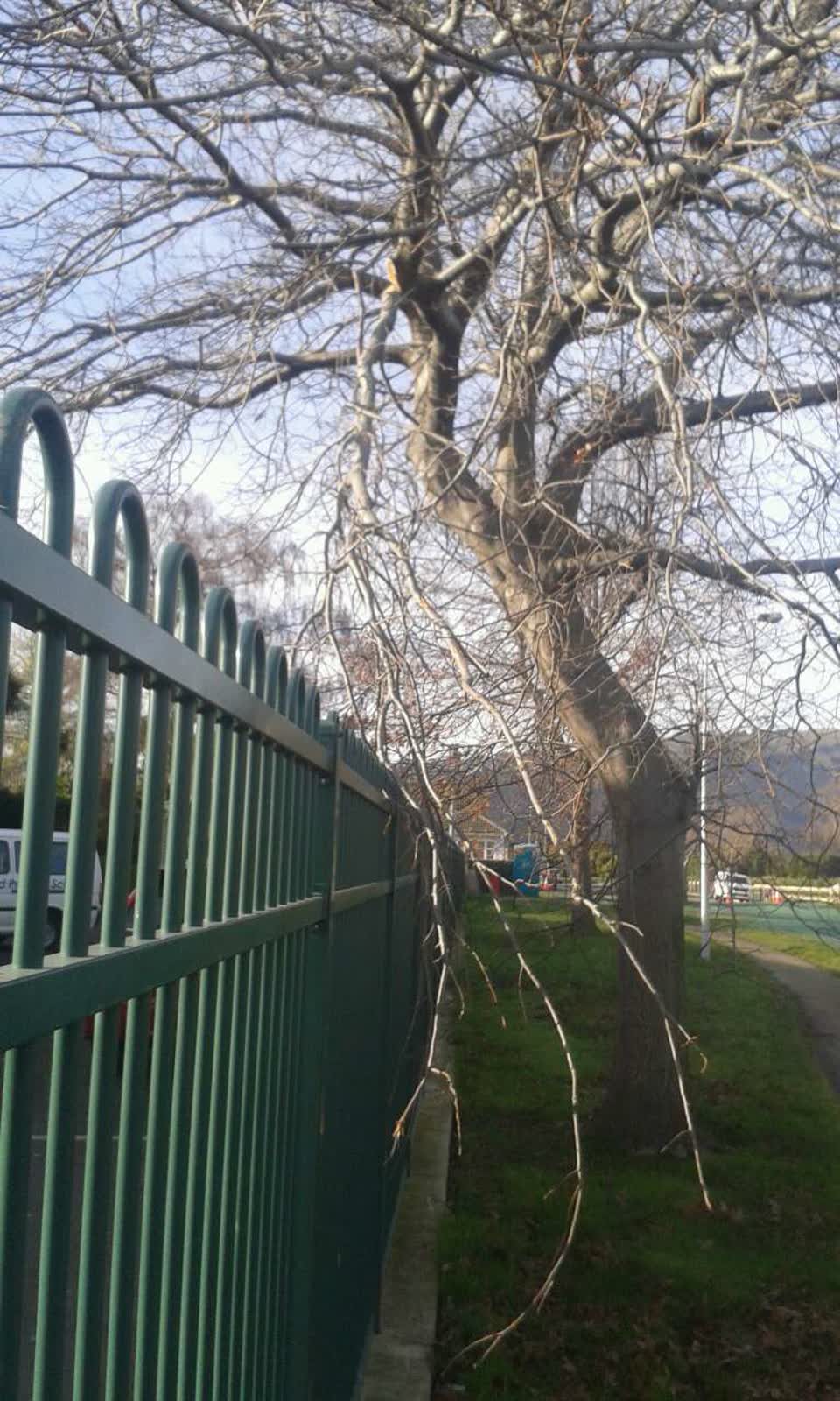 The photograph attached to this parks report