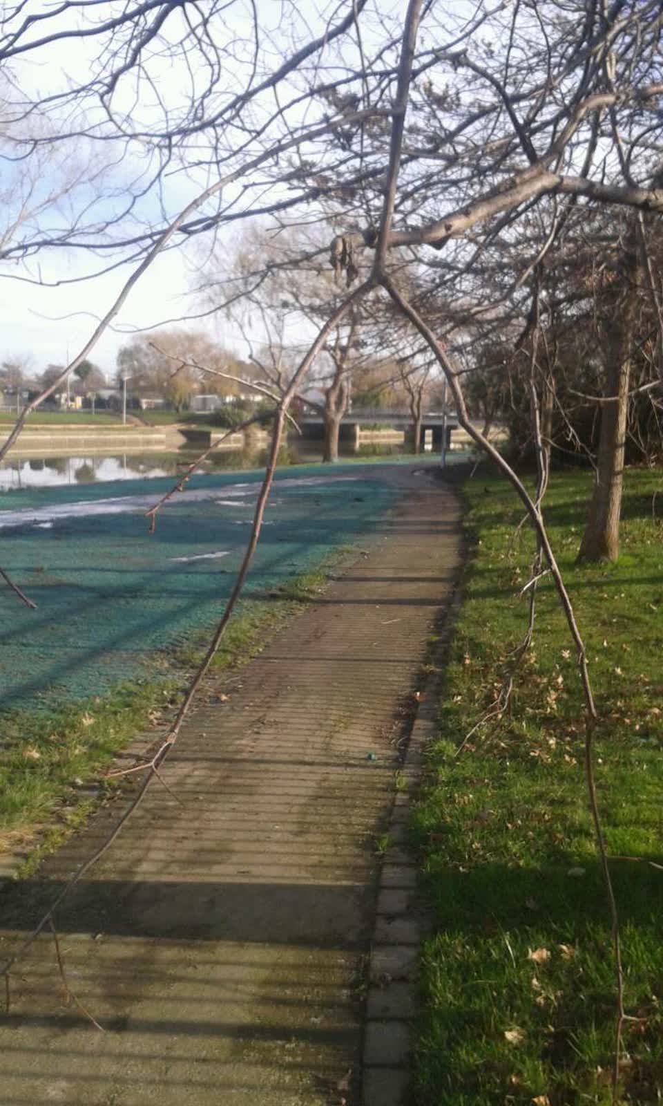 The photograph attached to this parks report