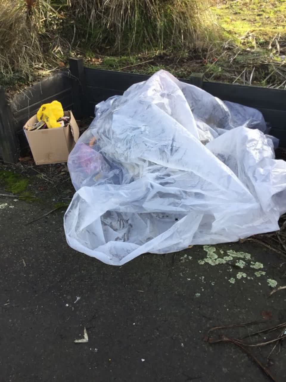 The photograph attached to this rubbish/recycling report