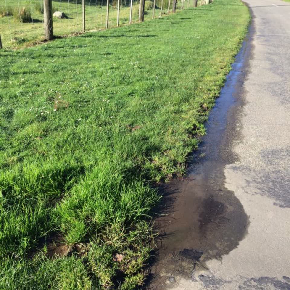The photograph attached to this water supply report