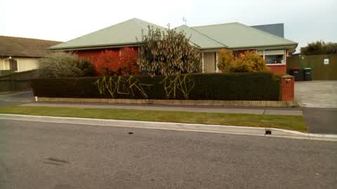 Graffiti, a report photo