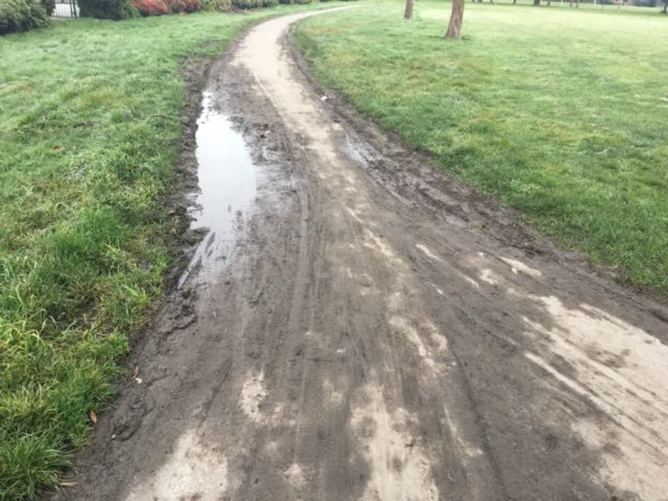The photograph attached to this parks report