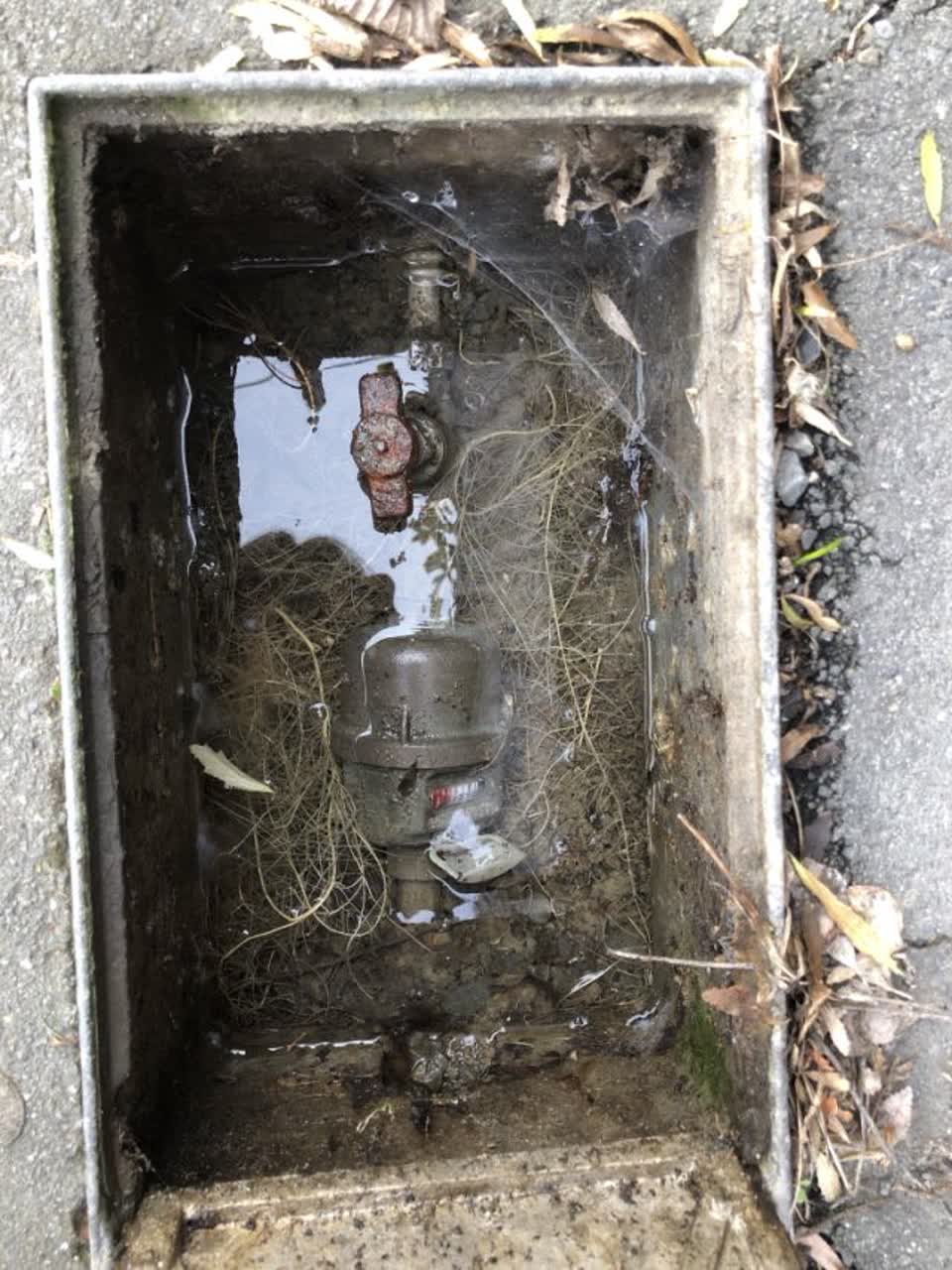The photograph attached to this water supply report
