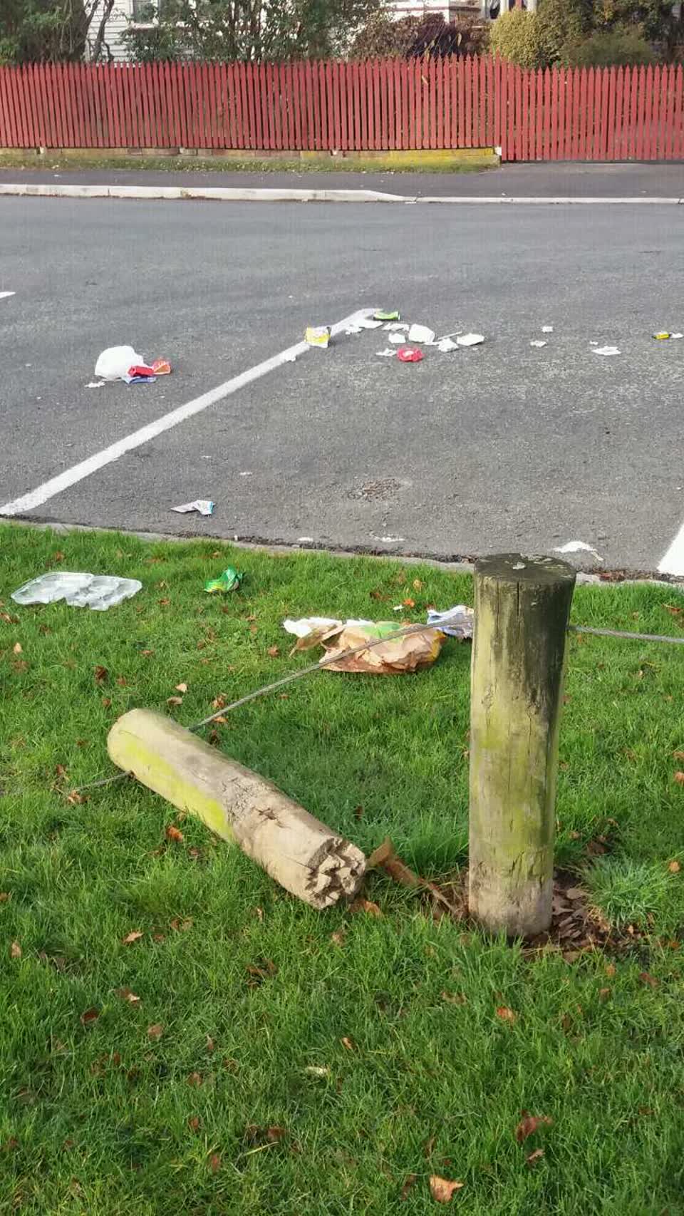 The photograph attached to this rubbish/recycling report